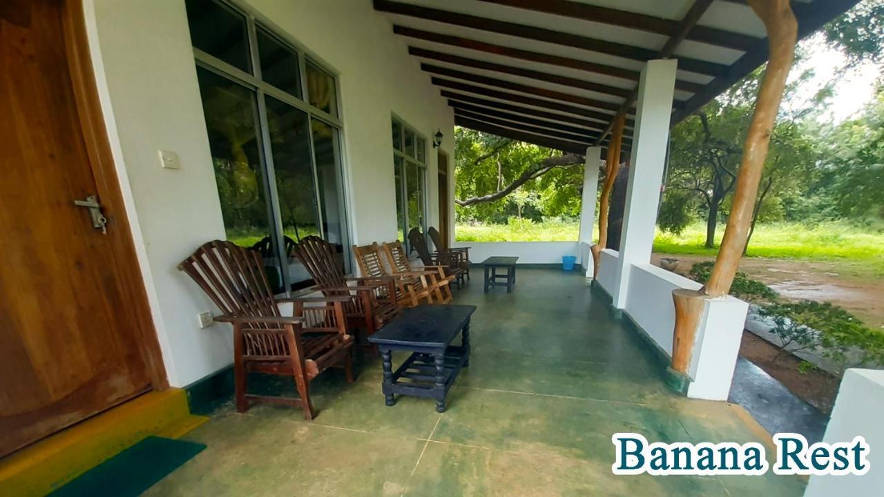 Banana Rest Sigiriya Exterior foto